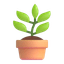 Plants