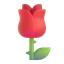 Fragrance